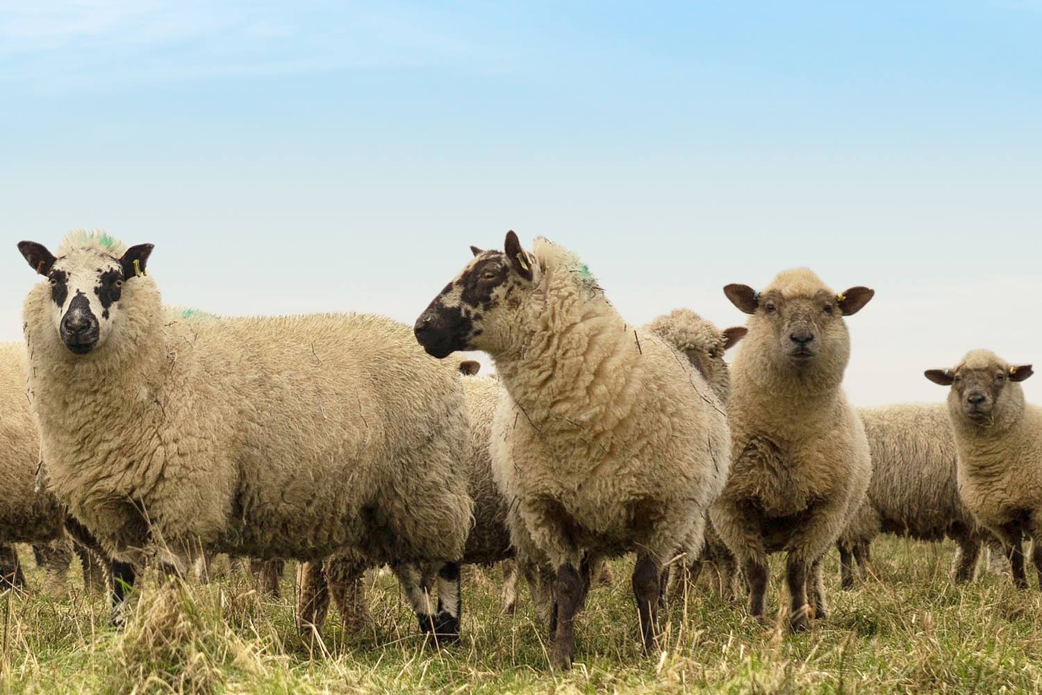 NFU Mutual's cover photo