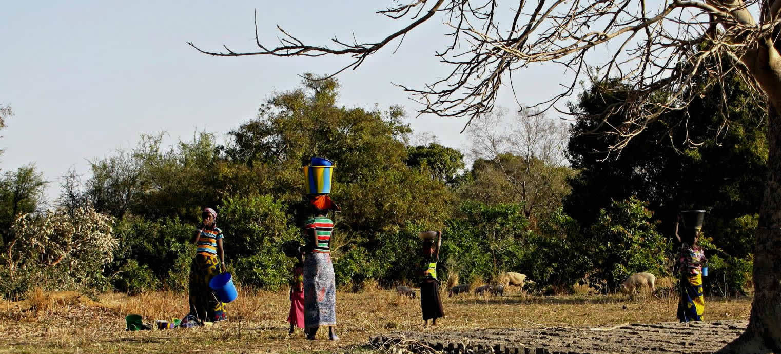 Omslagfoto van Changeroo