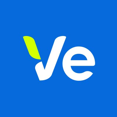Ve Global logo