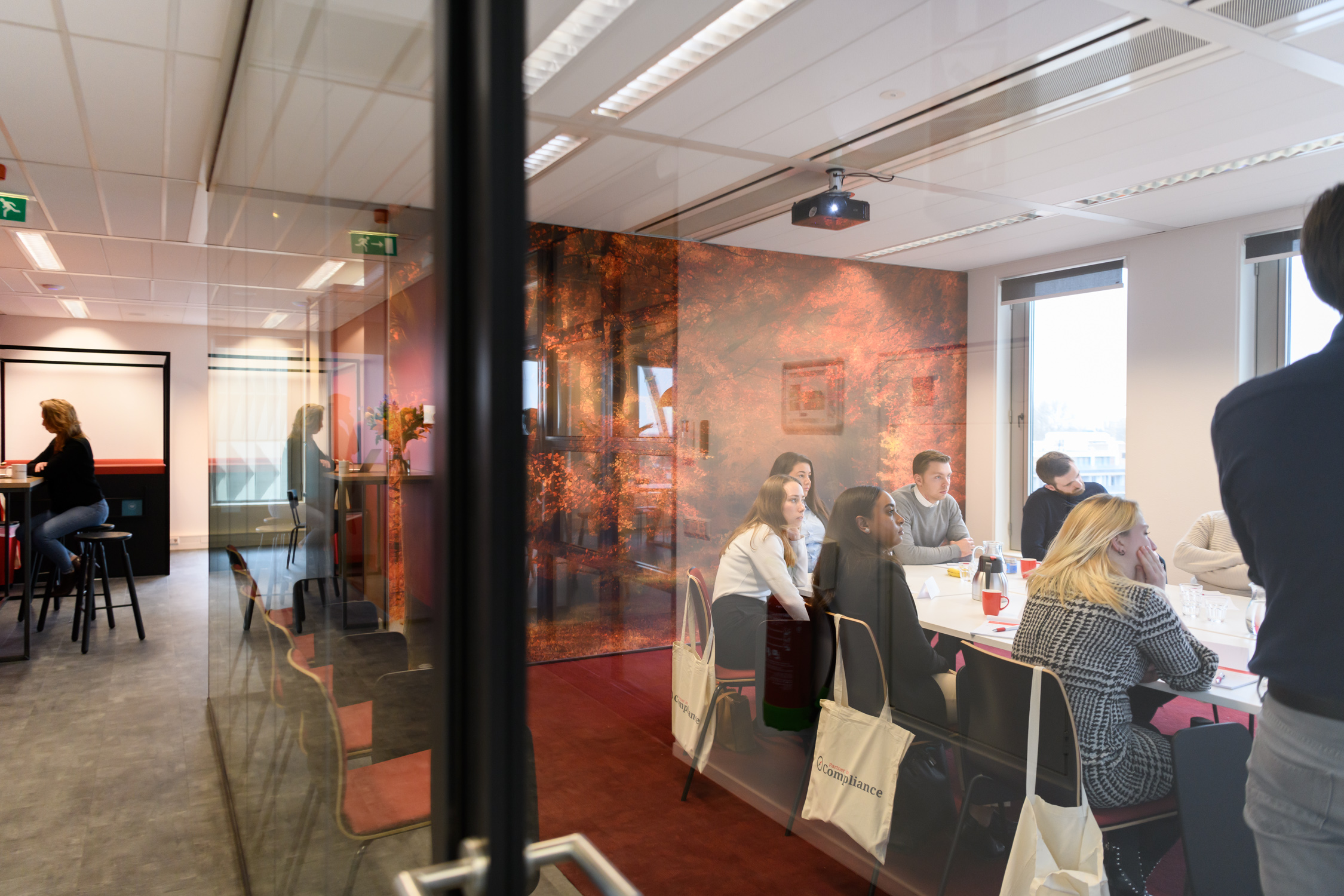 Omslagfoto van Partner in Compliance