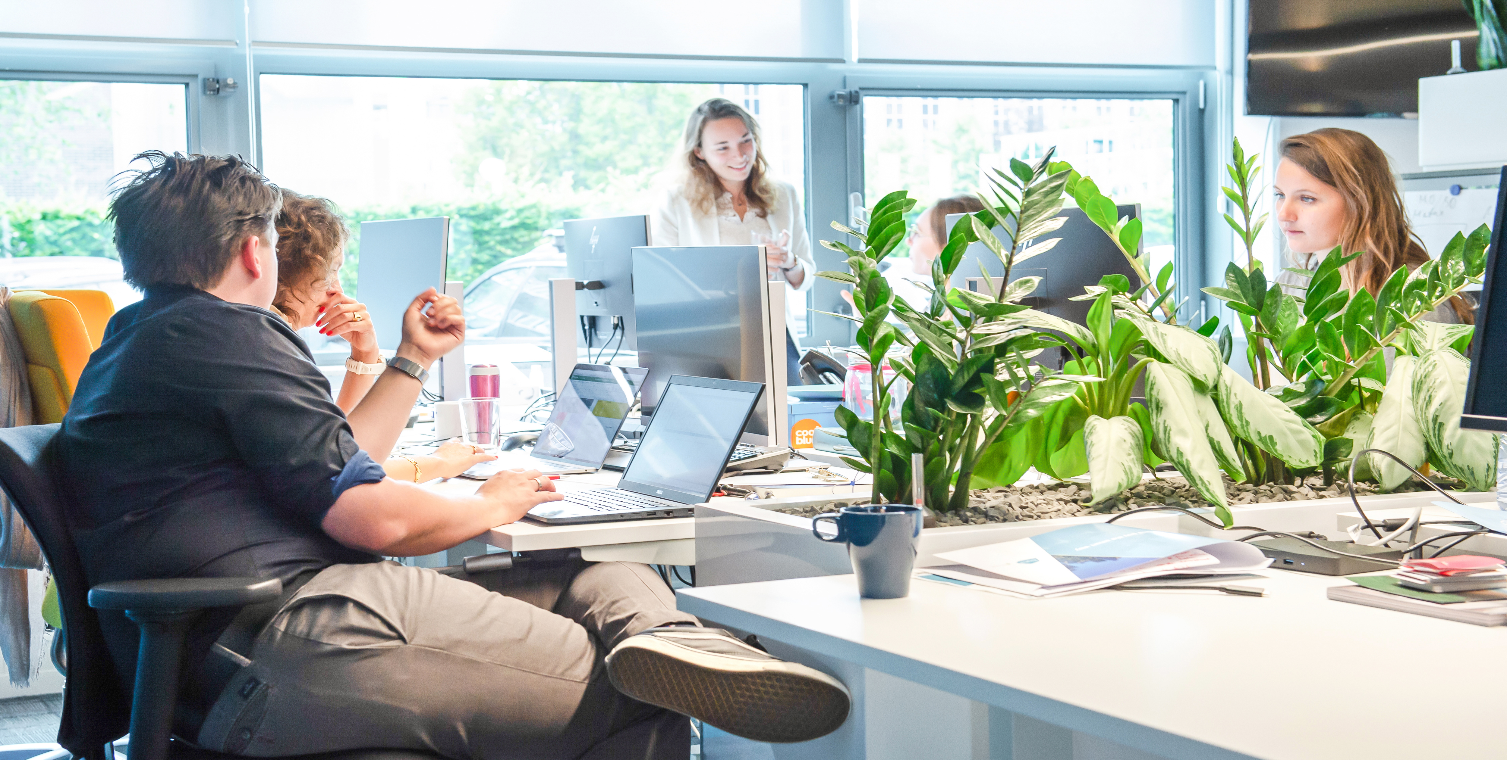 Omslagfoto van Franx