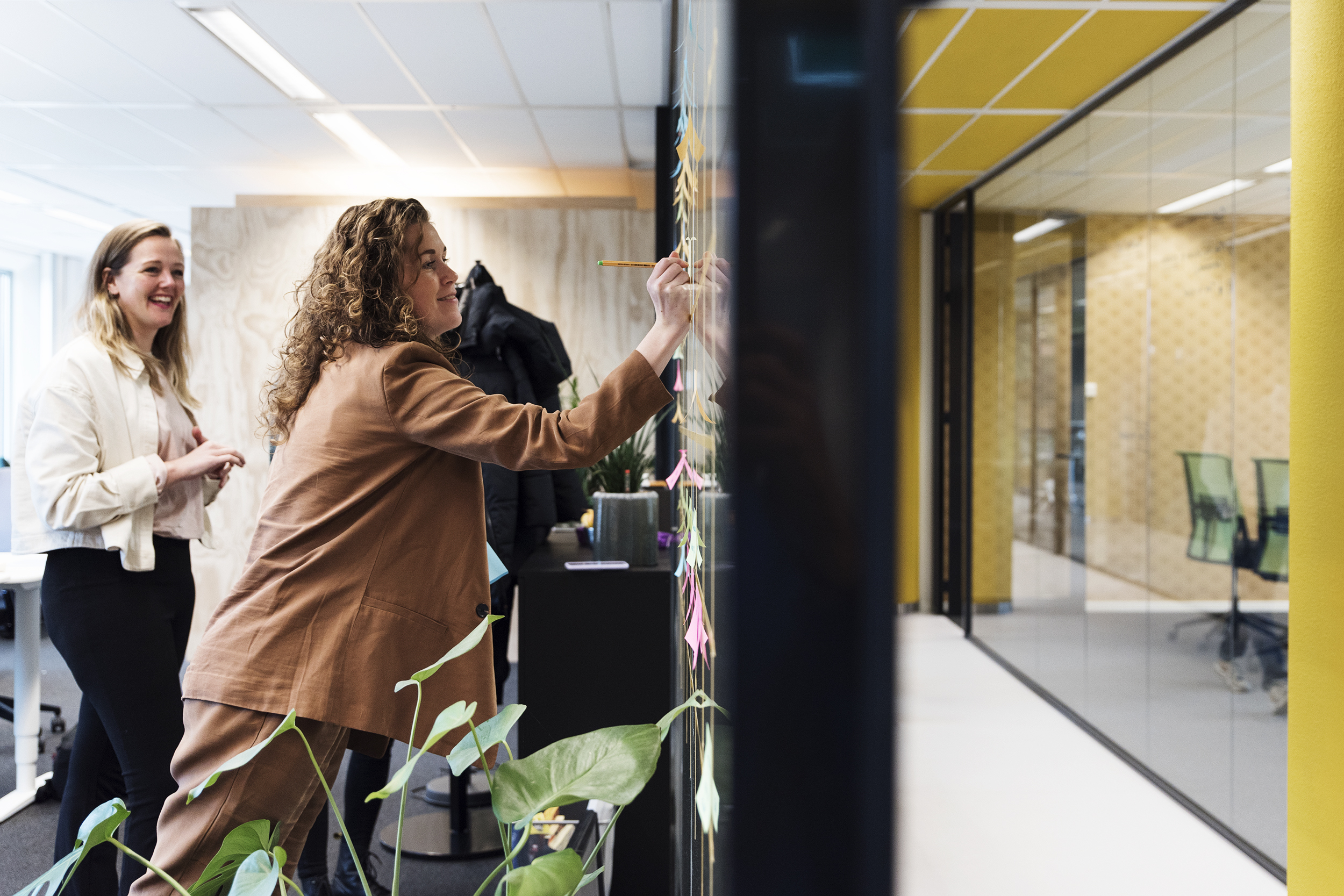 Coverphoto for Junior Customer Success Manager at LessonUp