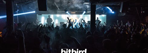 Bitbird's cover photo