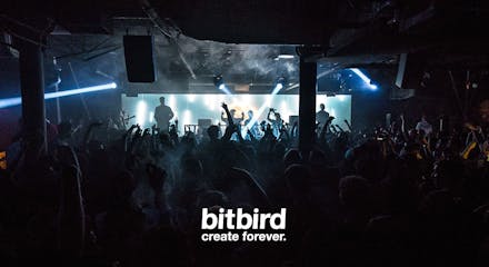 Bitbird - Cover Photo