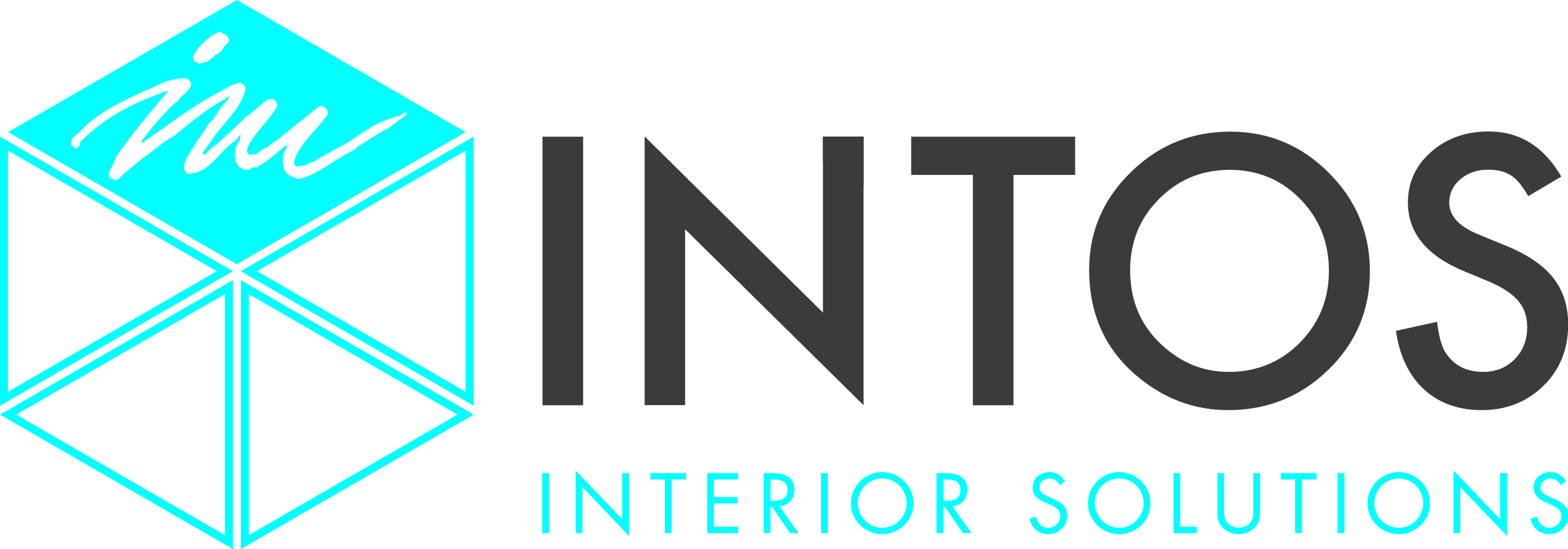 Logo INTOS