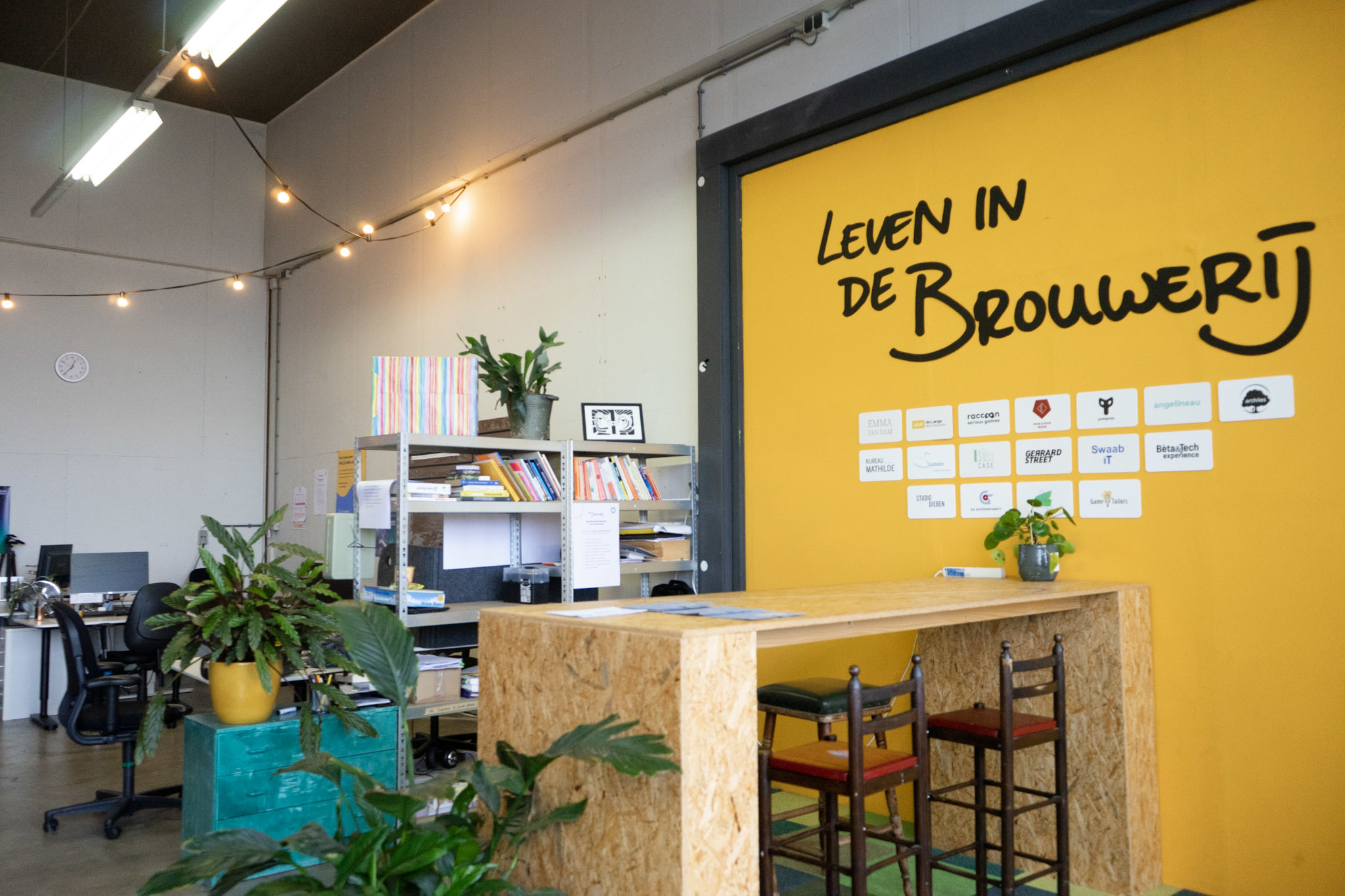 Raccoon Serious Games's cover photo