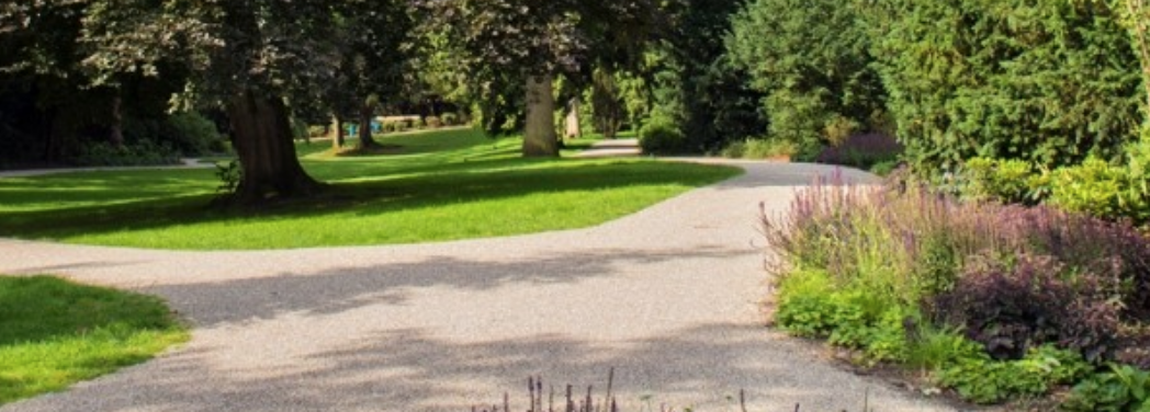 Omslagfoto van De Enk Groen en Golf