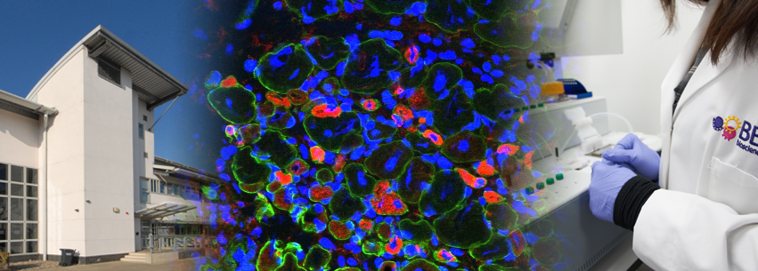 Omslagfoto van Babraham Institute UK