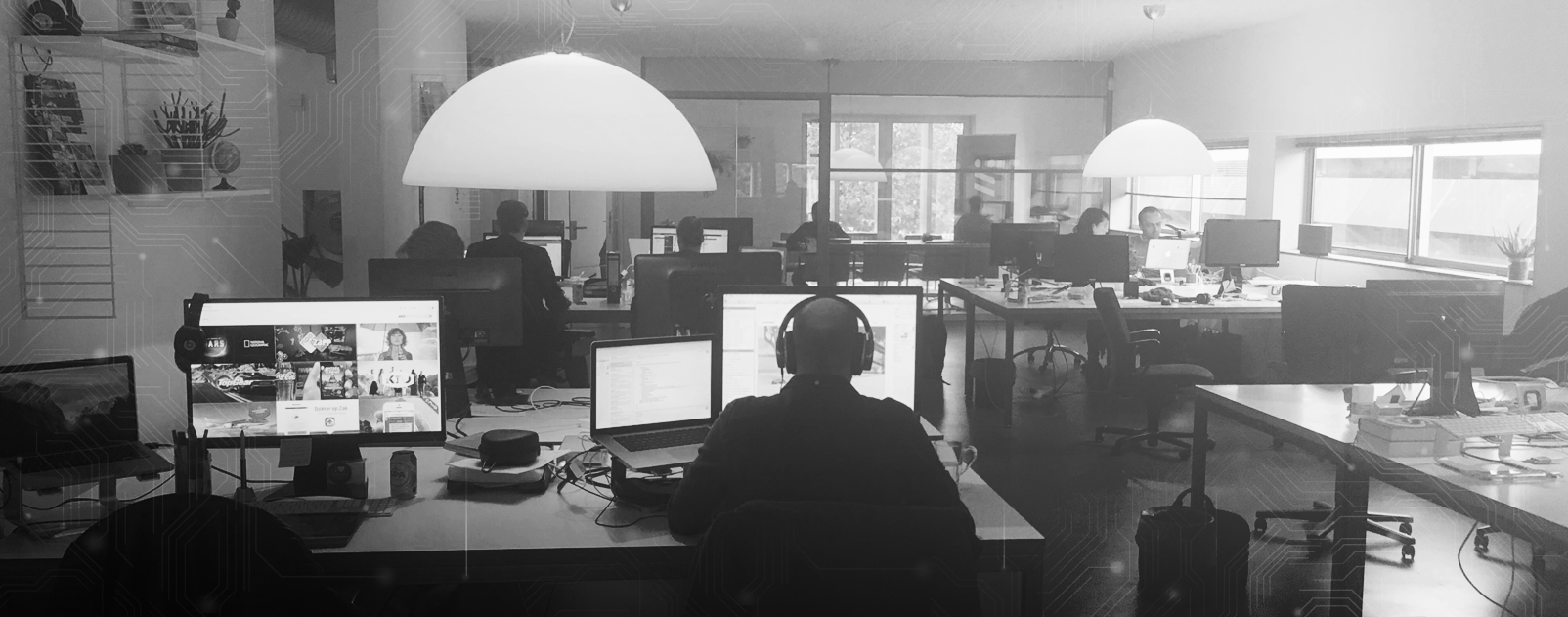 NoProtocol's cover photo