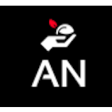 Logo Agency Nirvana