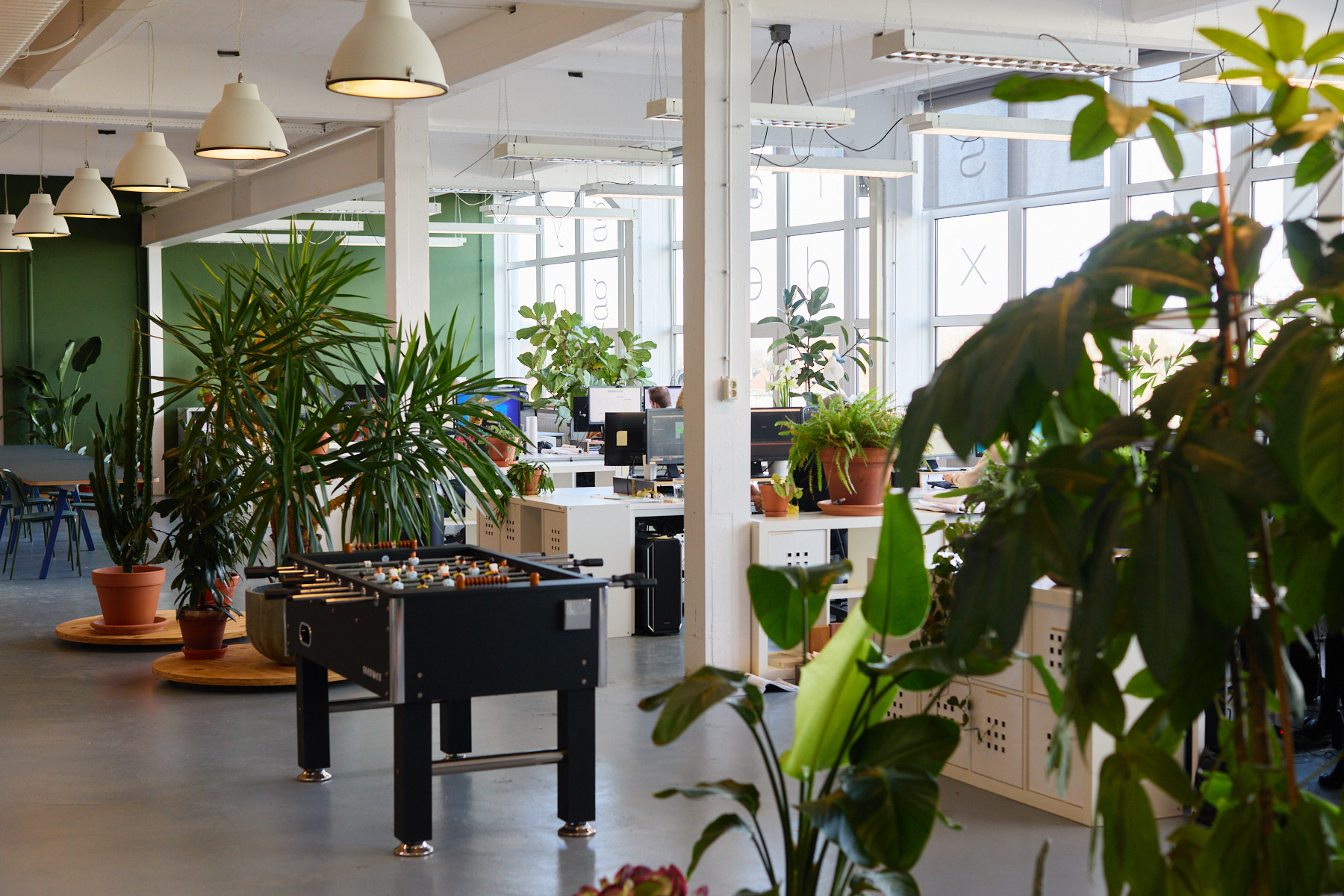 Omslagfoto van PosadMaxwan