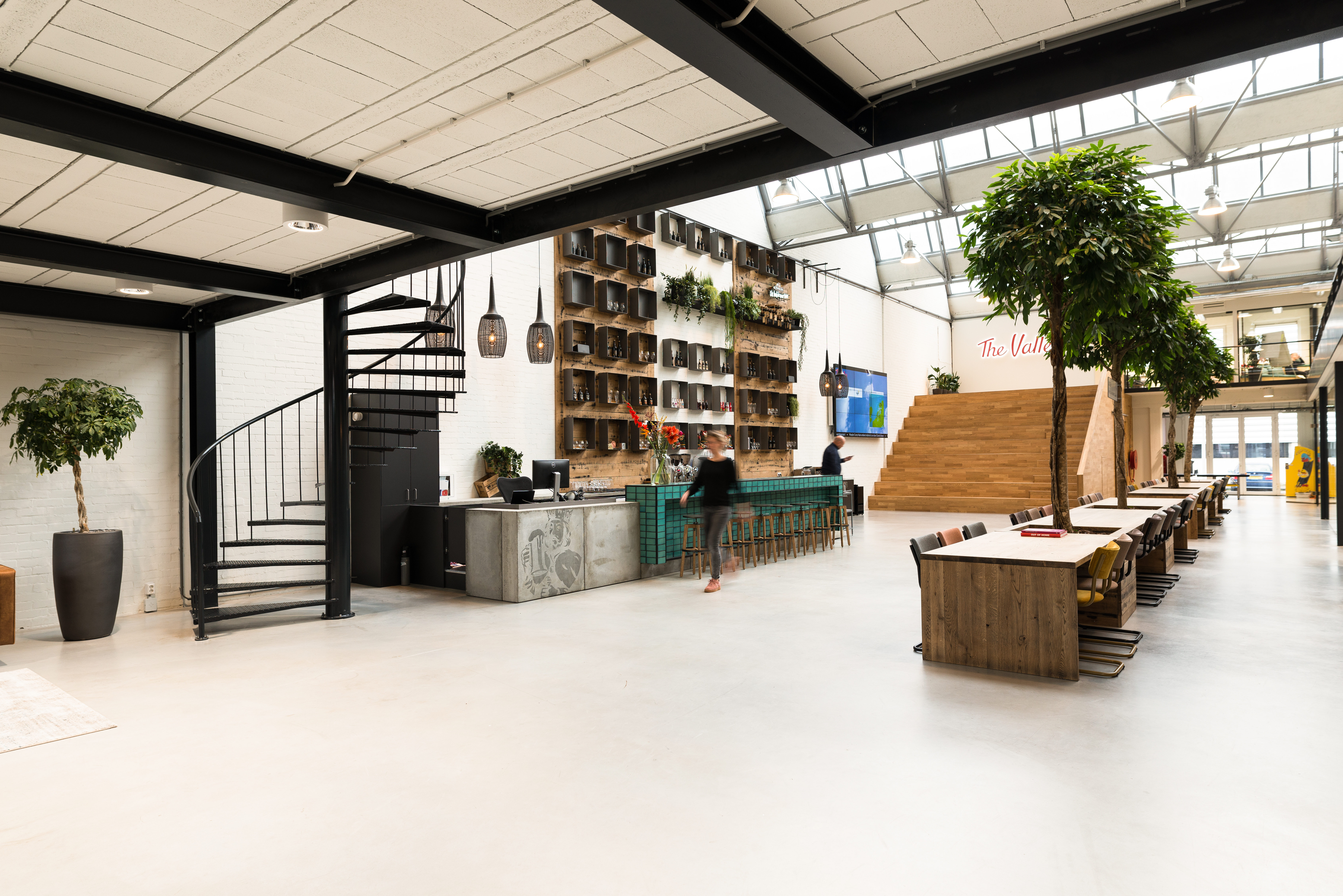 The Valley's cover photo