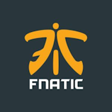 Logo Fnatic