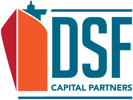 DSF Capital Partners BV logo