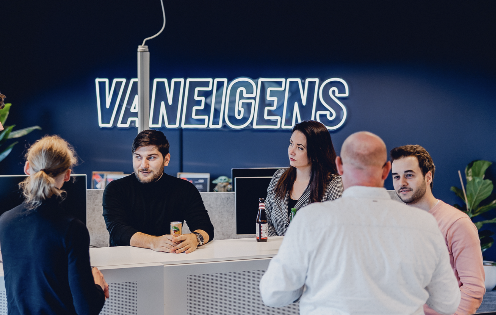 Omslagfoto van Vaneigens