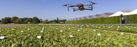 Omslagfoto van Graduation Opportunity Smart Farming Technologies bij Rijk Zwaan