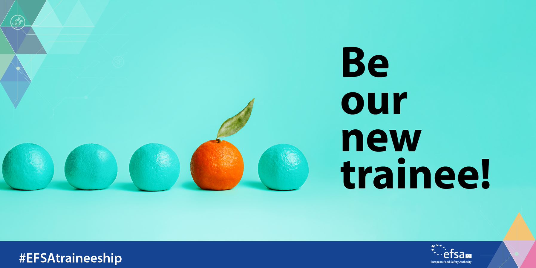 Omslagfoto van CareerFairy