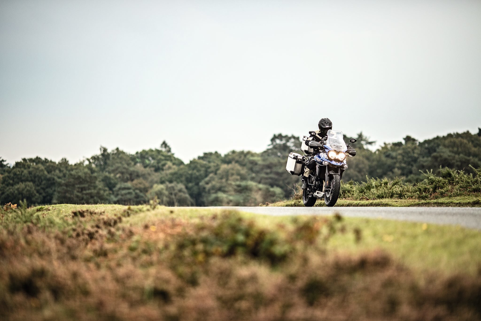 Omslagfoto van Triumph Motorcycles Limited