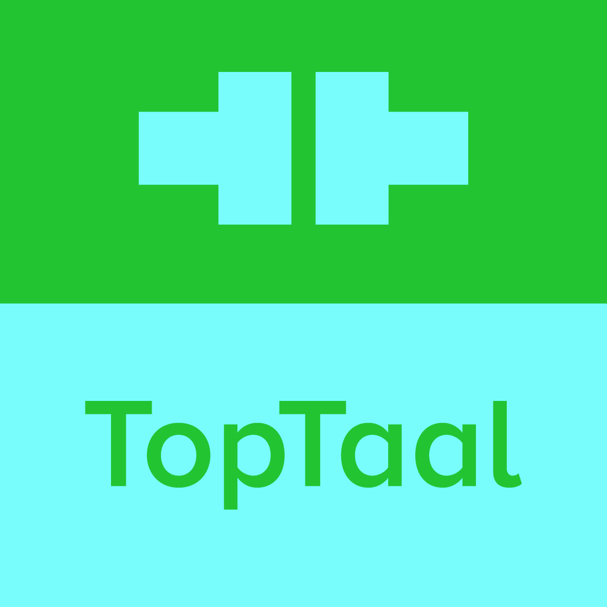 TopTaal logo