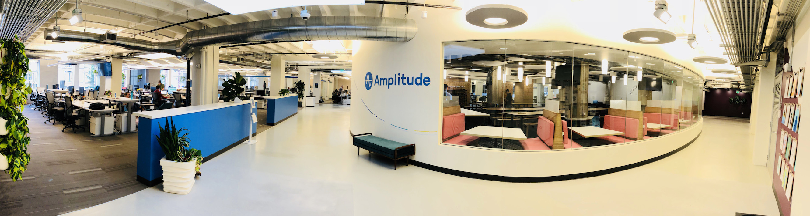 Omslagfoto van Amplitude