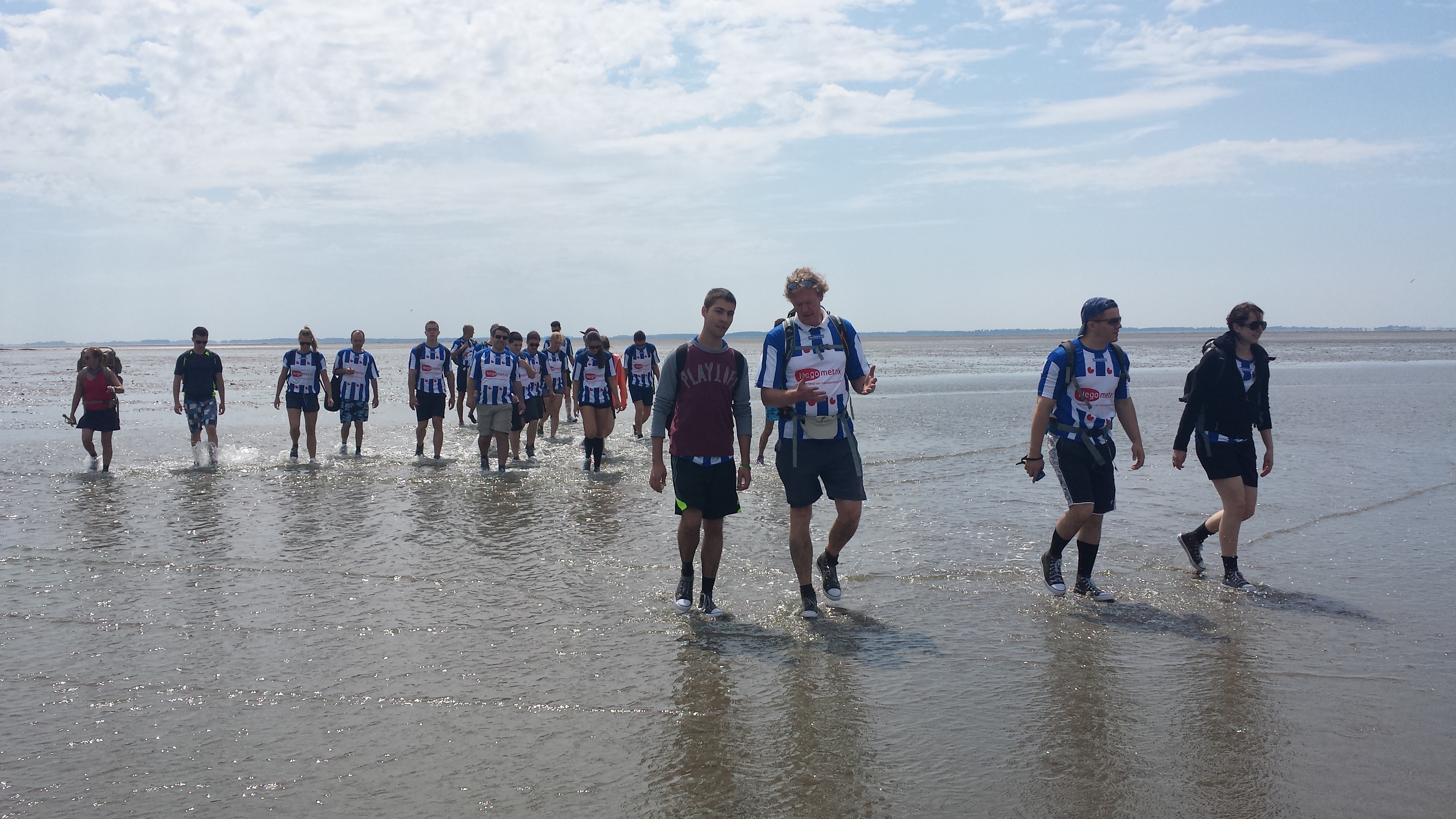 Omslagfoto van Negometrix