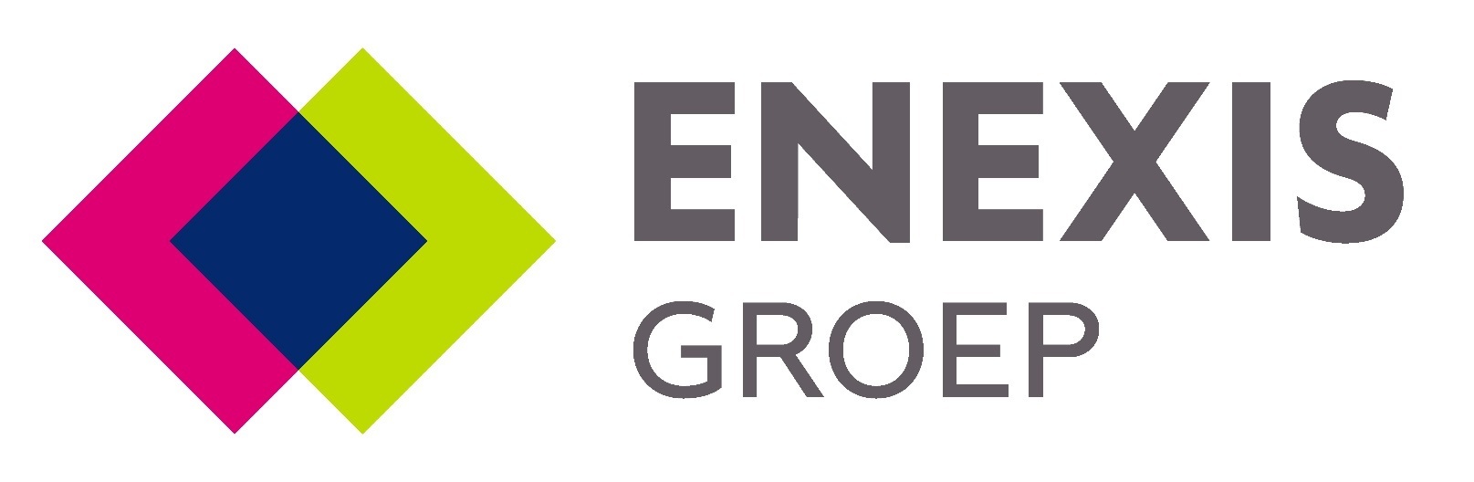 Enexis Groep B.V. logo