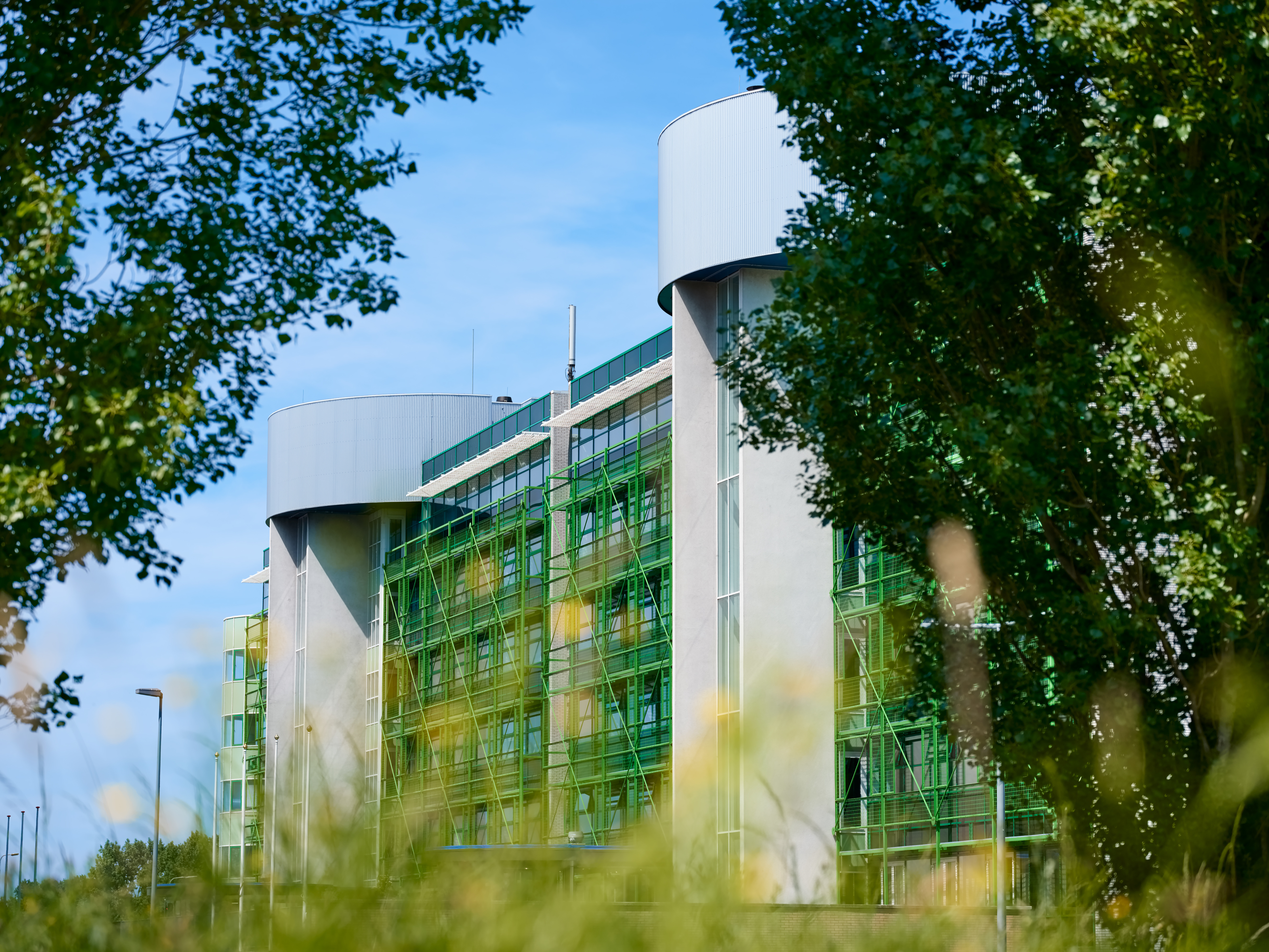 Coverphoto for Masterstudent / Onderzoeksondersteuner – Implementatie & Adoptie van digitalisering in Integrated Care at VZVZ