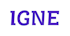 IGNE B.V. logo