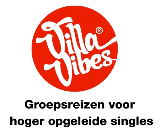 VillaVibes logo