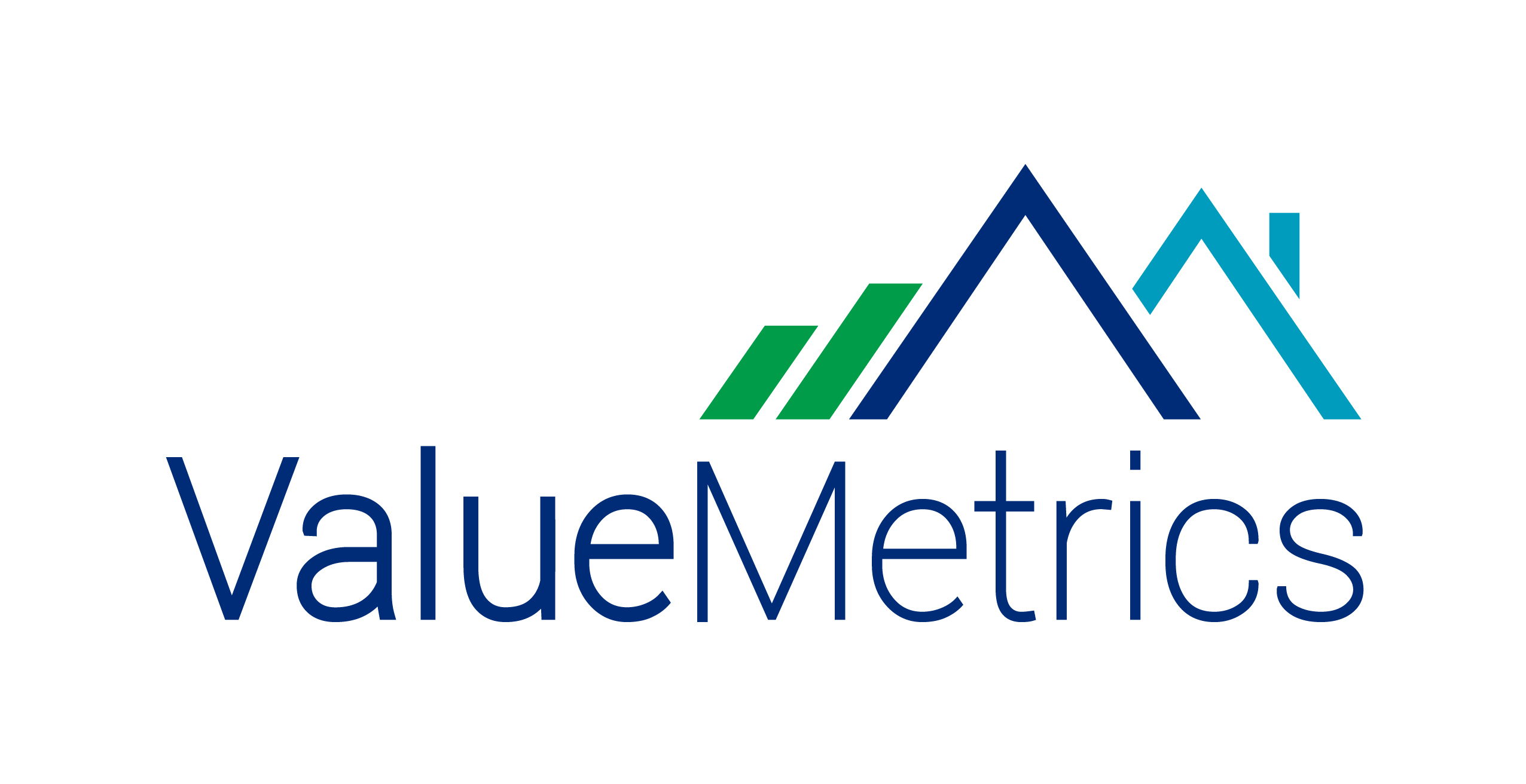 ValueMetrics logo