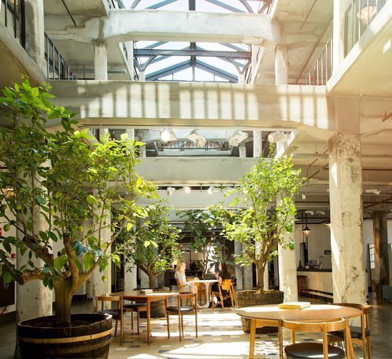 Omslagfoto van Vanilia