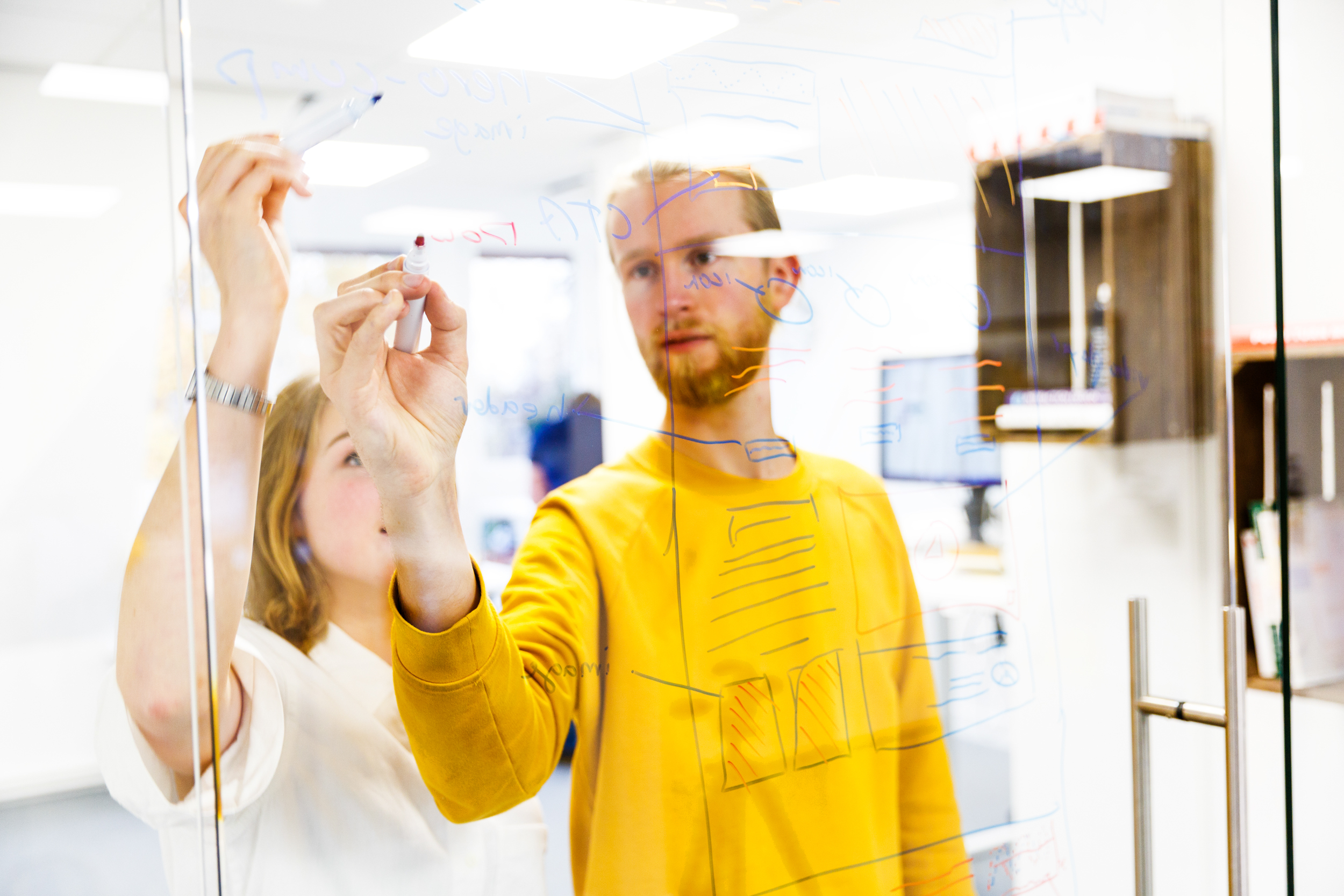 IGNE B.V.'s cover photo