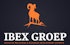 IBEX Groep logo