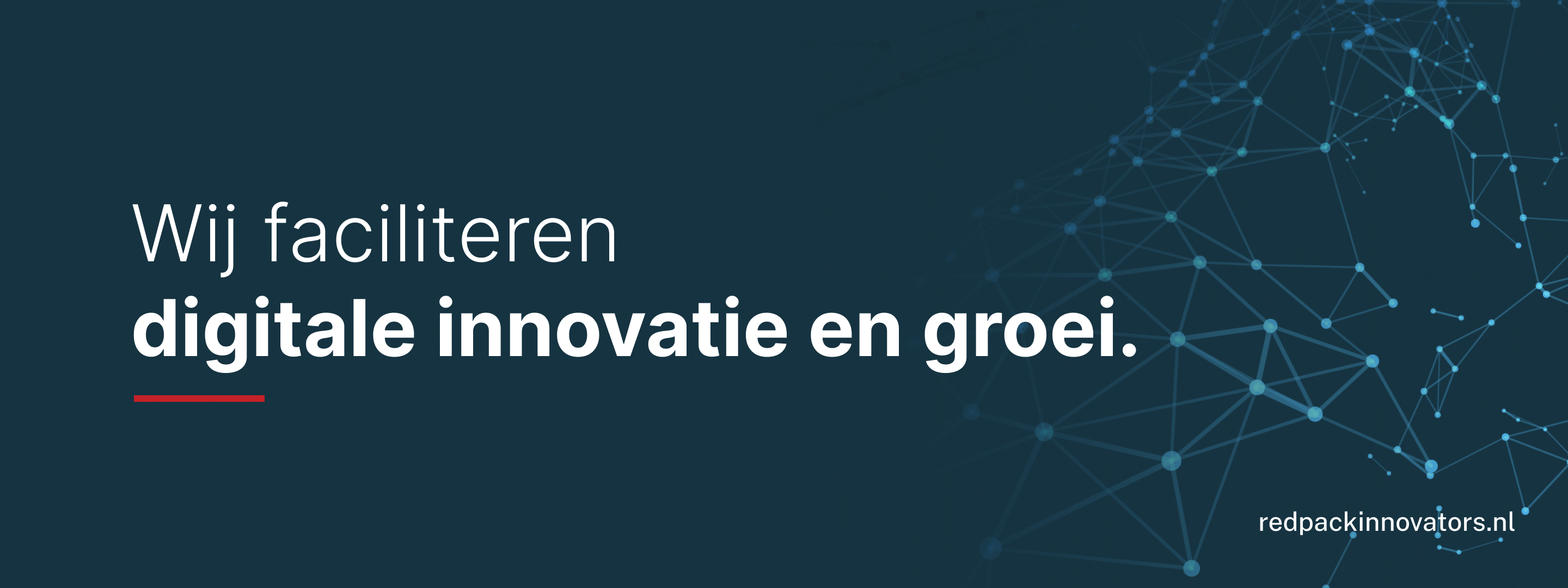 Omslagfoto van RedPack Innovators
