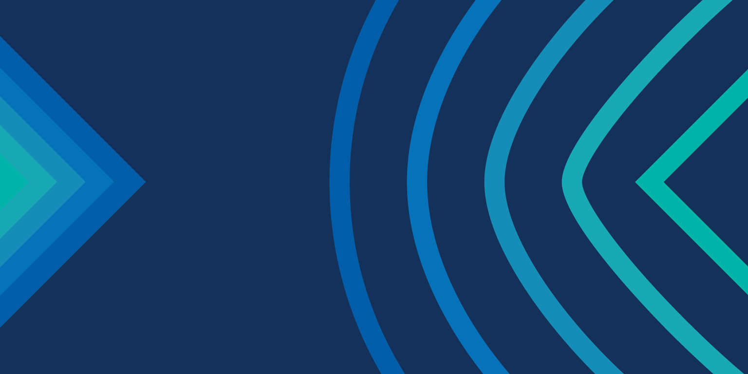 Omslagfoto van Bravura Solutions