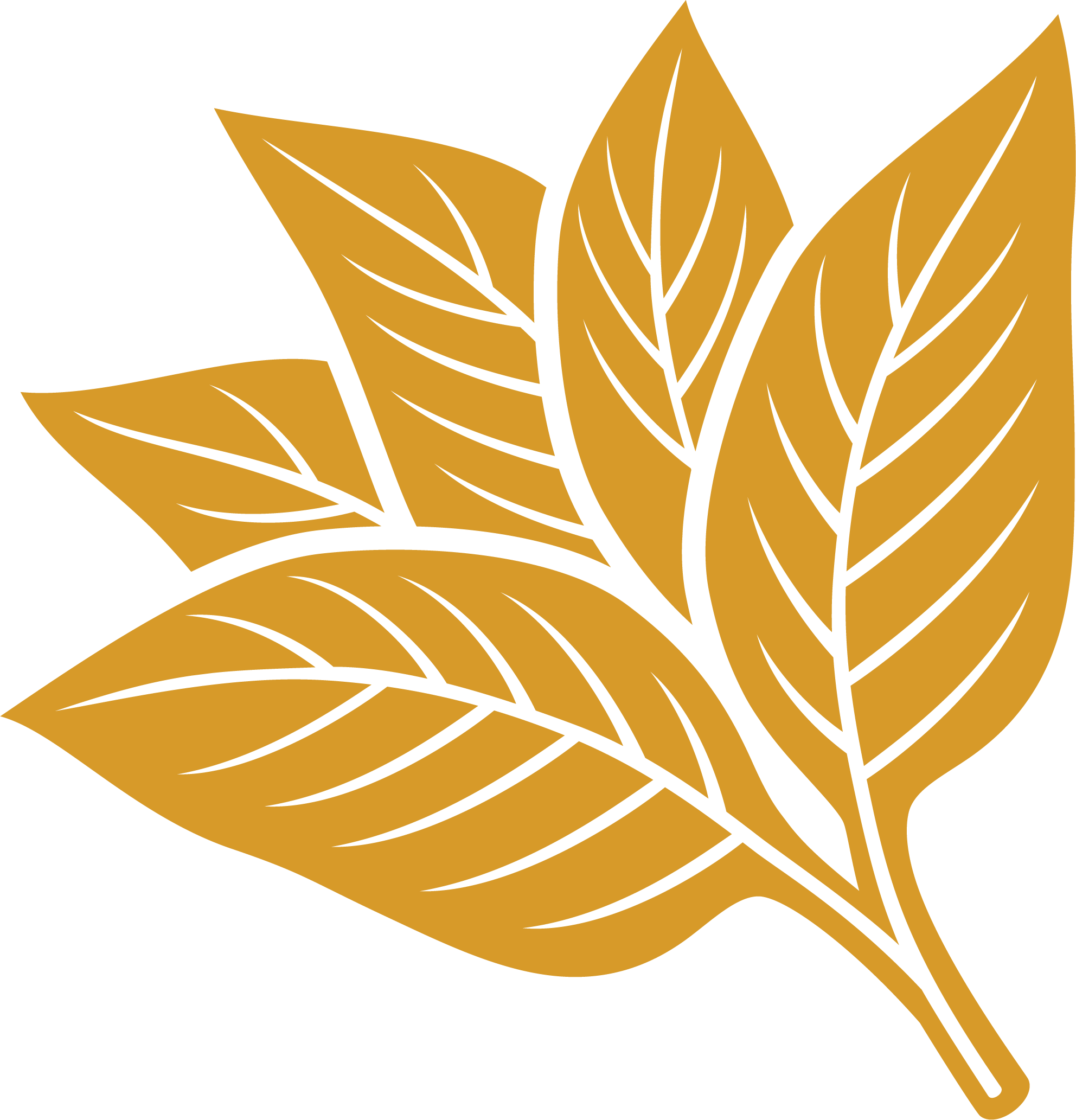 Hail & Cotton International BV logo