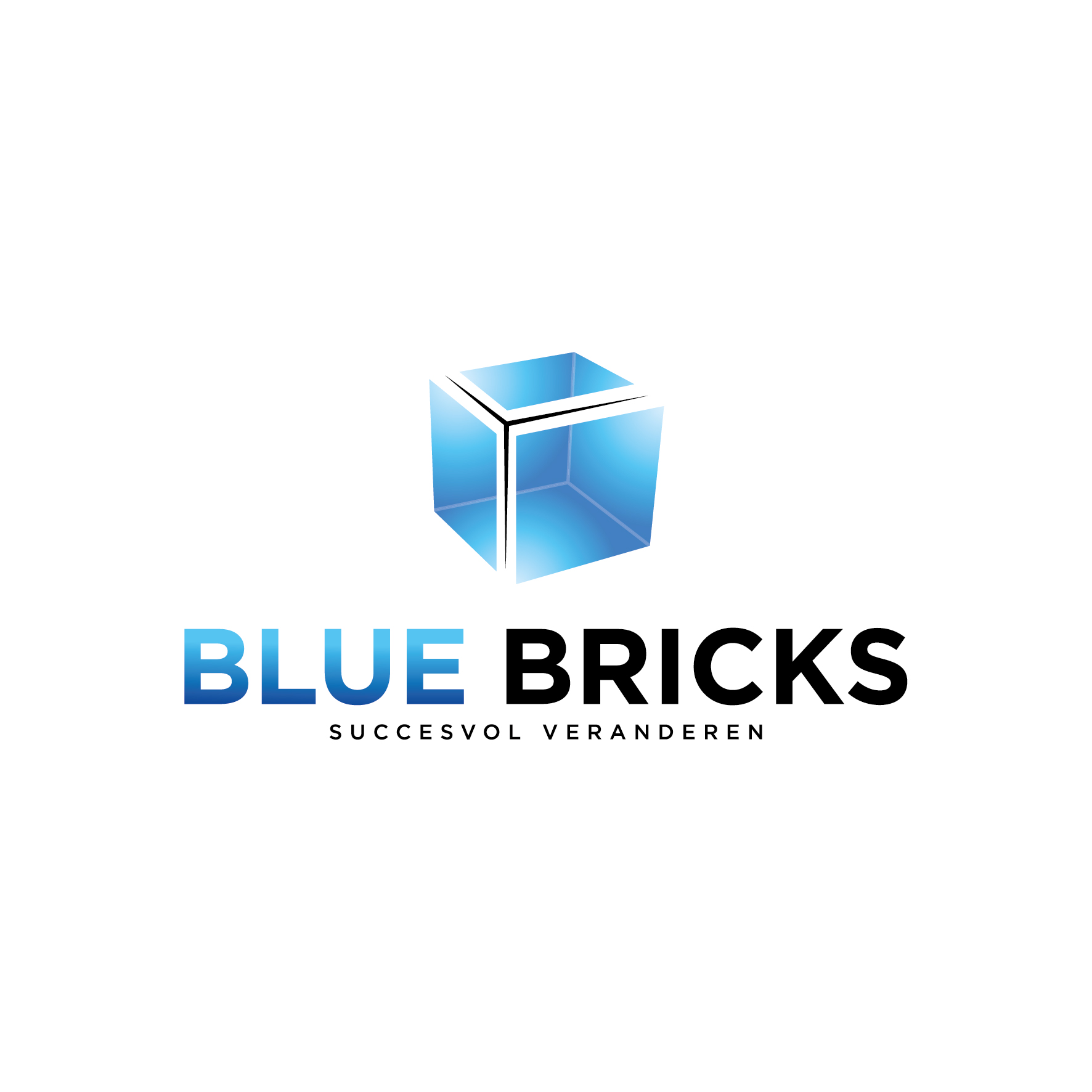 Blue Bricks logo