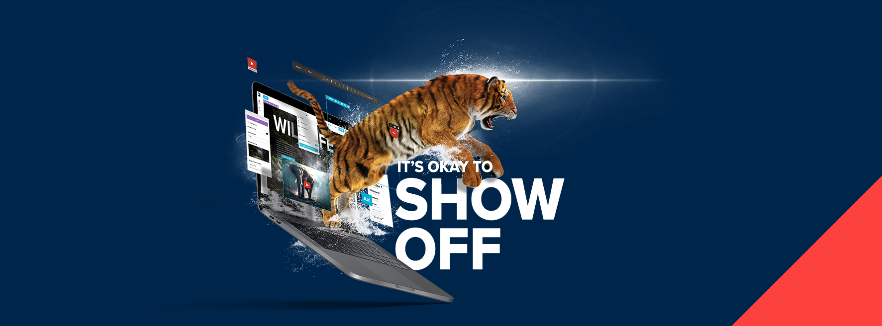 Omslagfoto van Foleon