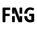 Logo FNG Group