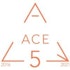ACE Company logo