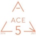 ACE Company logo
