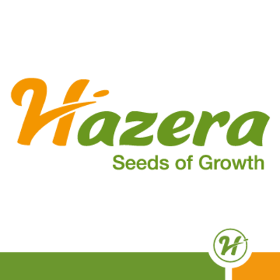 Hazera logo