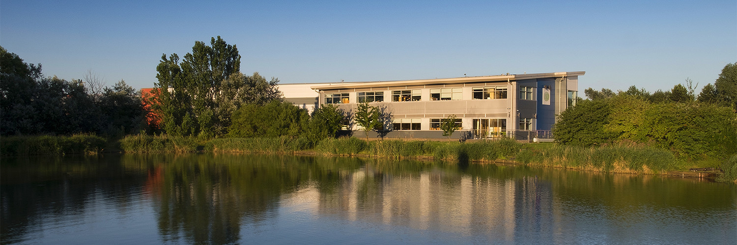 Barnes Roffe's cover photo