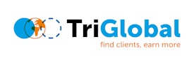 Omslagfoto van Team lead sales / Sales manager bij TriGlobal B.V.
