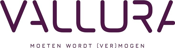Logo Vallura