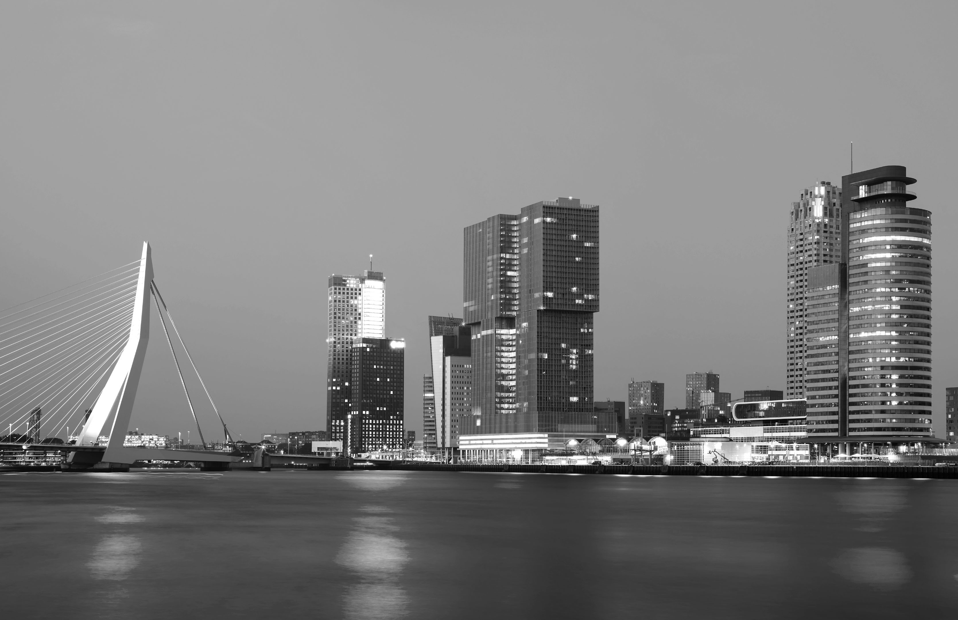 COUNT.'s cover photo