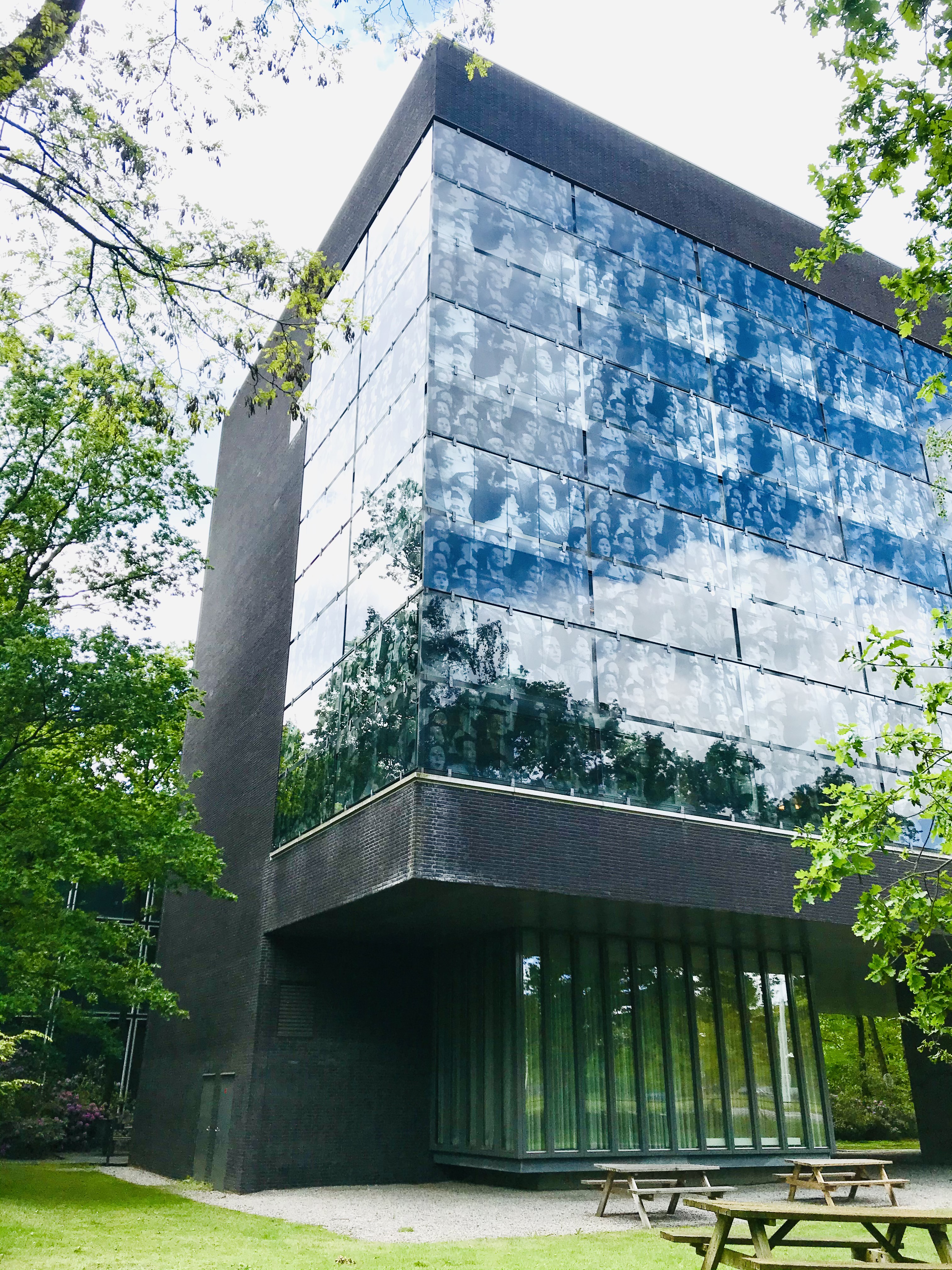 Law & More's cover photo