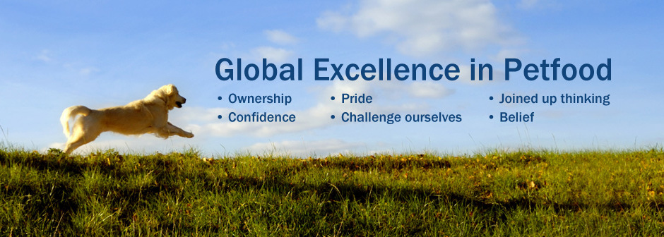 Omslagfoto van C&D Foods