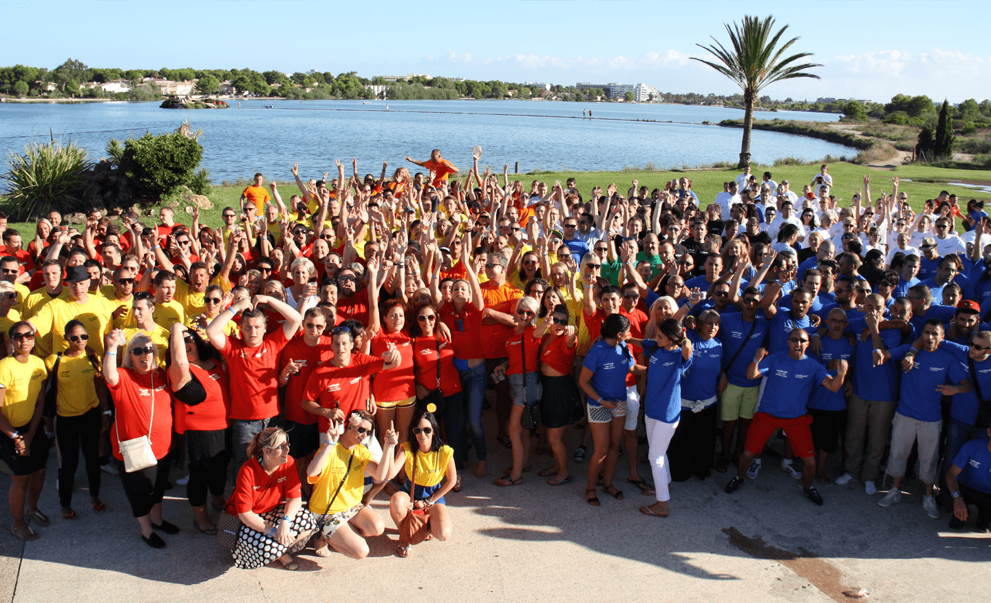 Creditsafe Nederland's cover photo