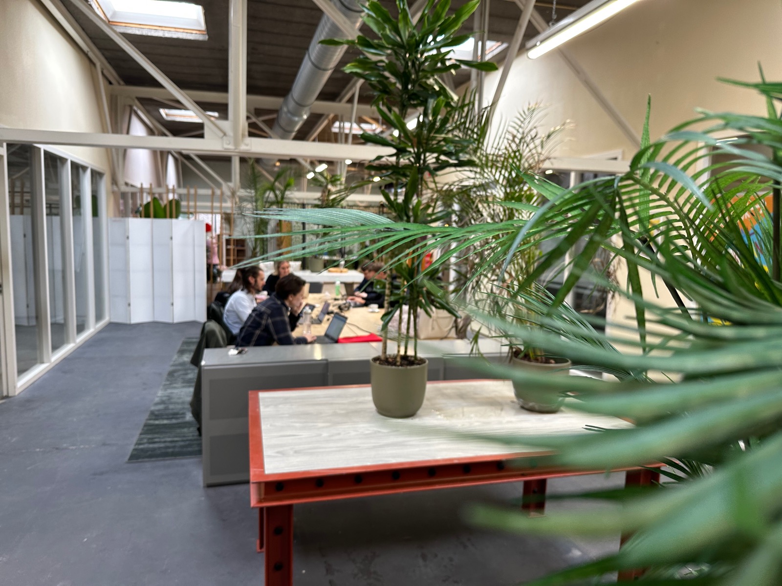 ROEKOO's cover photo